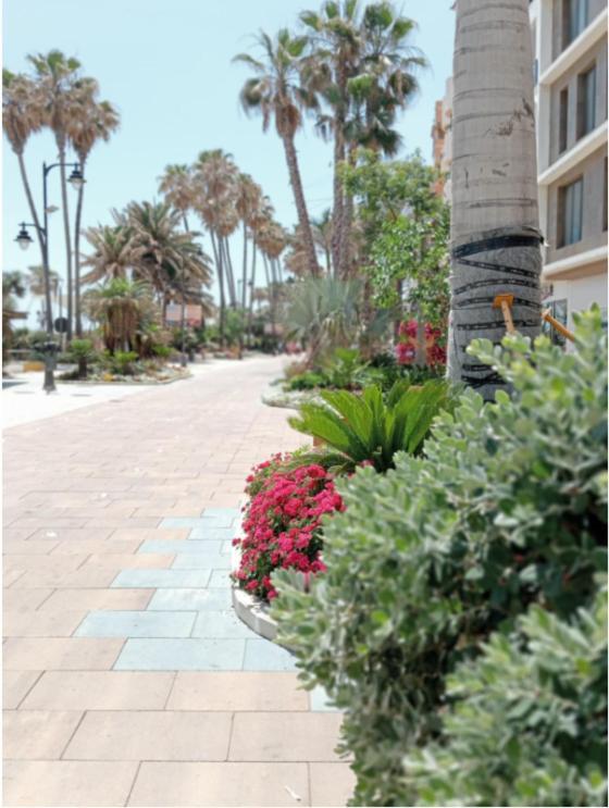 Beach Side Apartment -Estepona Dış mekan fotoğraf